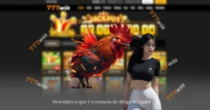 Descubra o que é o torneio de Briga de Galos C1