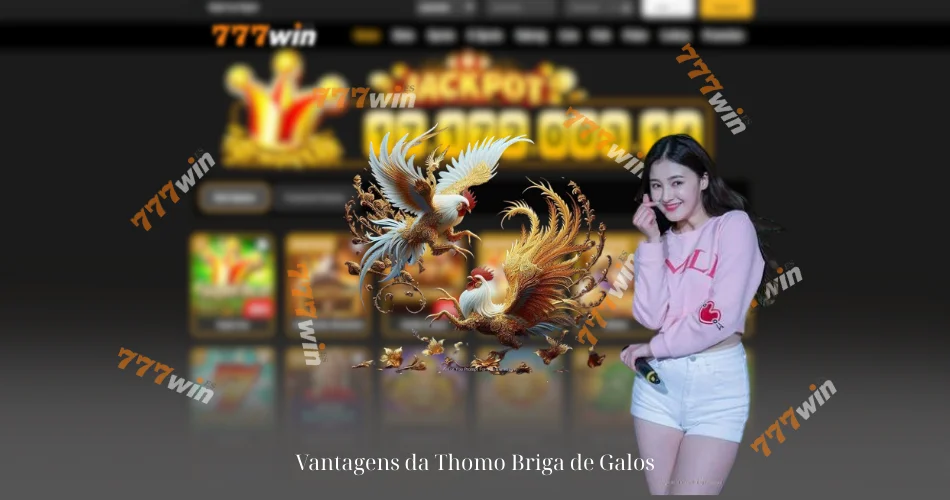 Vantagens da Thomo Briga de Galos